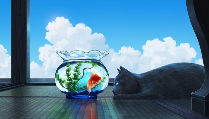 电脑壁纸 动漫 金鱼 鱼缸 猫咪 云朵 窗台 电脑桌面 高清壁纸 壁纸下载