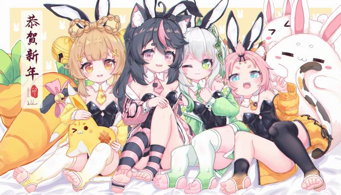 电脑壁纸 微笑 嘴巴 动漫 女孩 原神 瑶瑶 直田 迪奥娜 兔子女孩 兔耳朵 脸红 长袜 电脑桌面 高清壁纸 壁纸下载