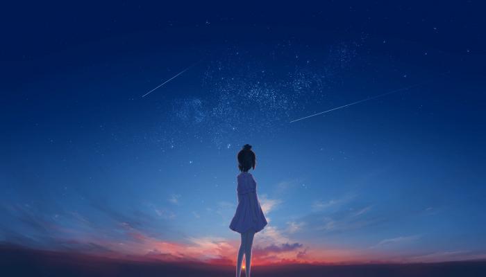 电脑壁纸 星空下的动漫女孩，丸子头，可爱裙装动漫女孩背影，天空流星，唯美动漫女孩插画 高清壁纸 壁纸下载