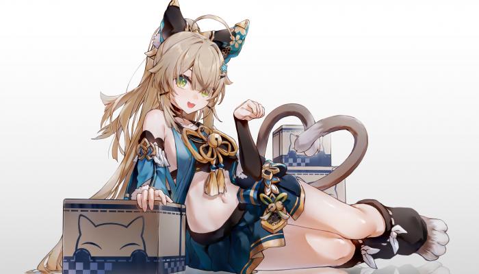 电脑壁纸 猫女孩 肚皮 肚脐 长发 侧卧 绿色眼睛 动漫 女孩 猫耳朵 猫尾巴 极简主义 白色背景 简单背景 倒影 铃声 原神 电脑桌面 高清壁纸 壁纸下载