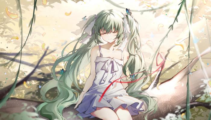 电脑壁纸 长发 绿色头发 动漫 初音 小提琴 双马尾 电脑桌面 高清壁纸 壁纸下载