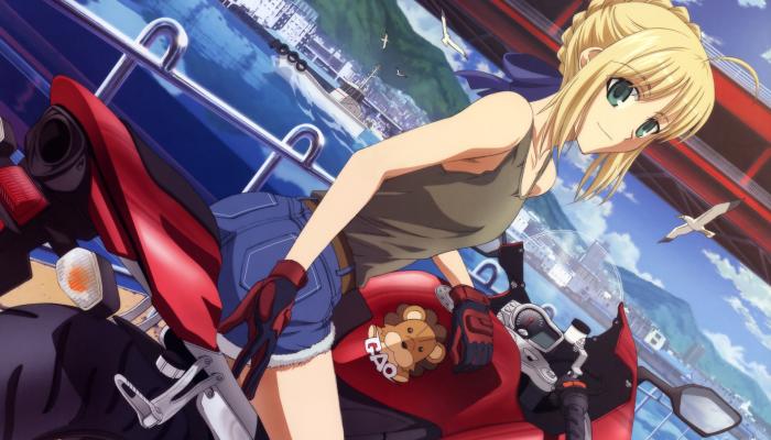 电脑壁纸 fate 吾王 摩托车 海鸥 电脑桌面 高清壁纸 壁纸下载