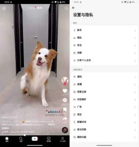 最新版TikTok 抖音国际版解锁版下载 v36.5.4 去广告 免拔卡-蚂蚁资源网