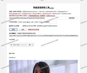网盘直链获取工具-蚂蚁资源网