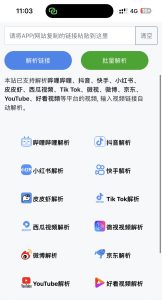 全网短视频去水印网站-蚂蚁资源网