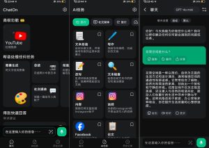 chotan_免费-蚂蚁资源网