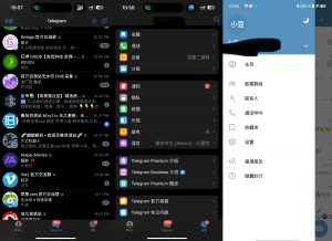 Telegram-简称TG或电报、纸飞机下载教程-蚂蚁资源网