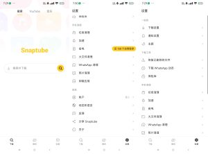YouTube油管视频一键下载工具-蚂蚁资源网
