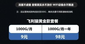 随身WiFi 长期套餐9元1000G-蚂蚁资源网